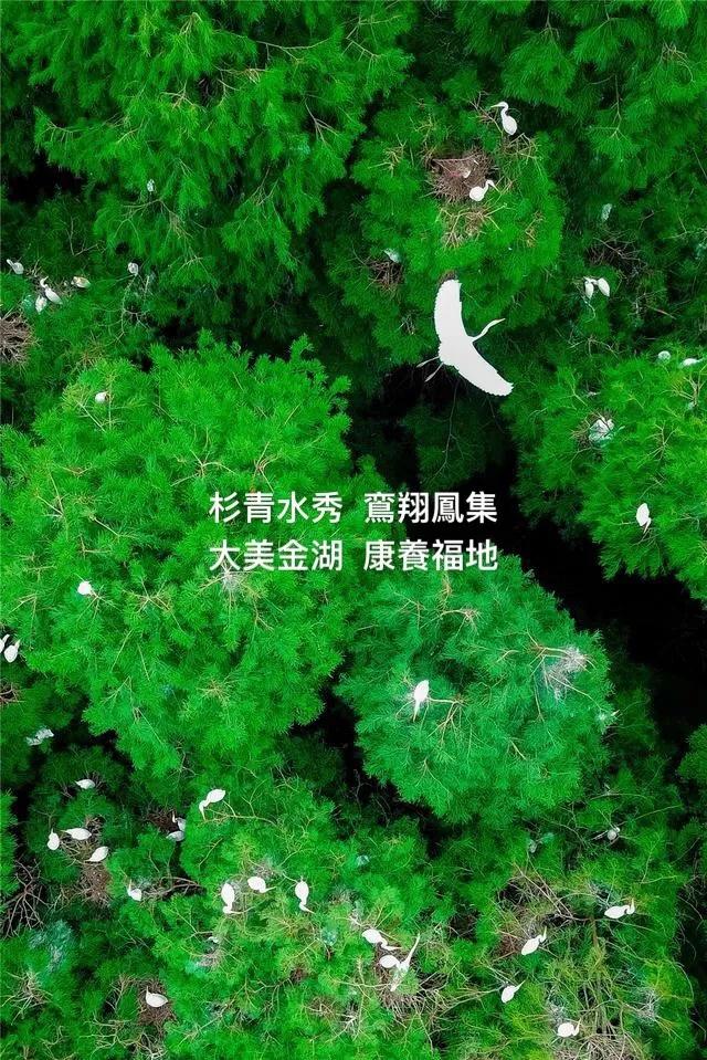 箱根集團(tuán).jpg